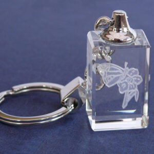 Donor Family Network Crystal Keyring