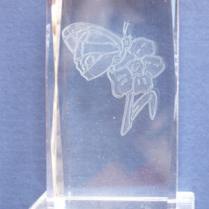 Donor Family Network Crystal Paperweight